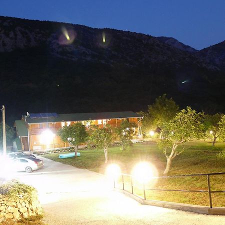 Guest House Jadran Pol Petrovac Exteriör bild